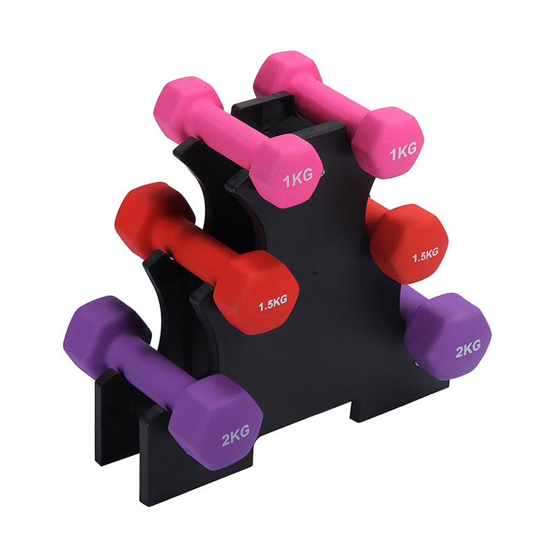 Set di manubri per palestra domestica